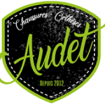 Chaussures Orthèses Audet