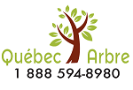 Québec Arbre